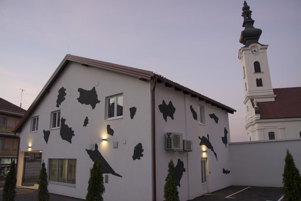 Hostel 101 Dalmatinac Vukovar Exterior foto